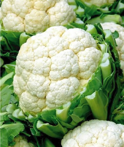 Coliflor x Kg