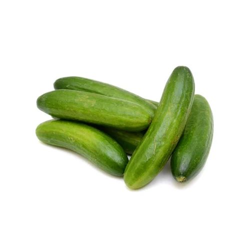 Pepino x Kg
