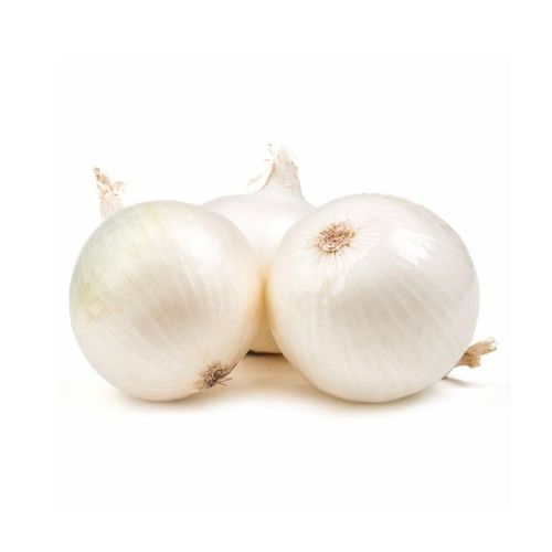 Cebolla Blanca x Kg