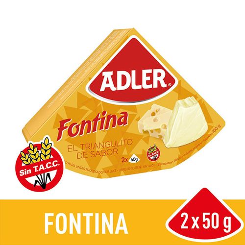 Queso Adler Fundido Fontina 100g