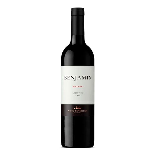 Vino Benjamín Malbec 750ml