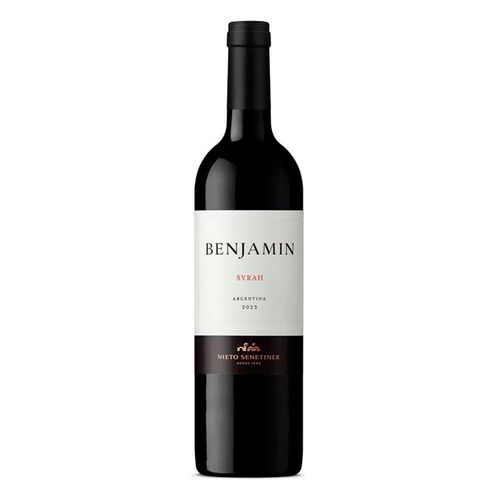 Vino Benjamín Syrah 750ml