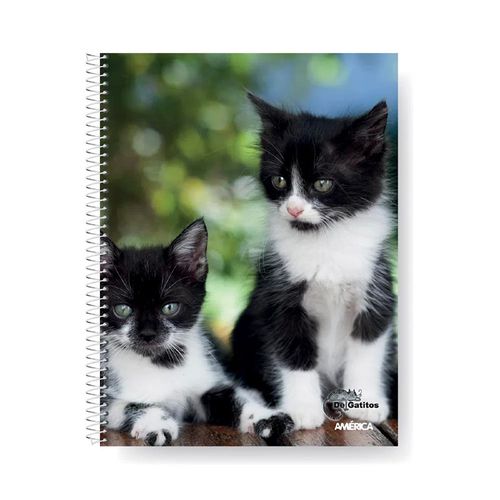 Cuaderno America Rayado Gatos 21x29Cm 80Hojas