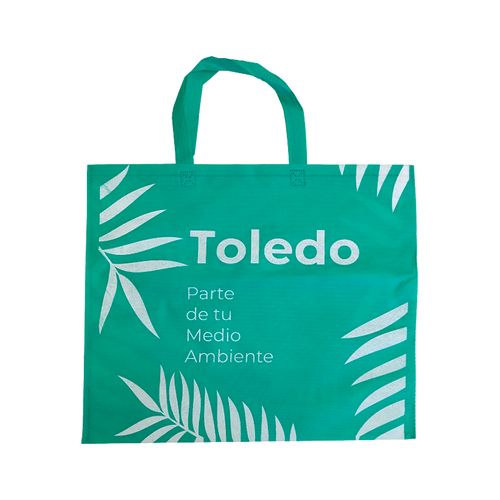 TOLED PARTE ECOFACT