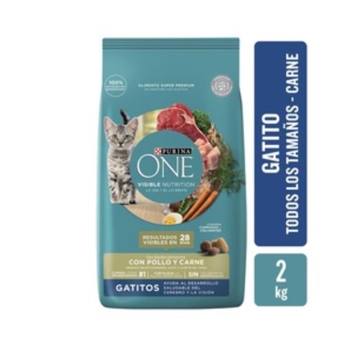 ALIMENTO GAT PURINA