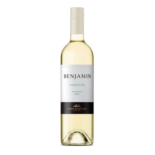 Vino Benjamín Torrontes 750ml