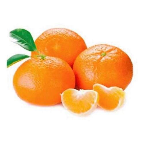 Mandarina Okitsu x Kg