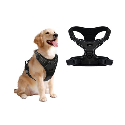 ARNES PARA PERRO TALLE M