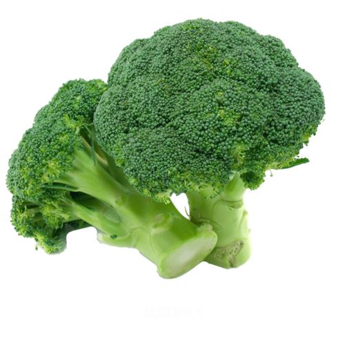 Brocoli x Kg
