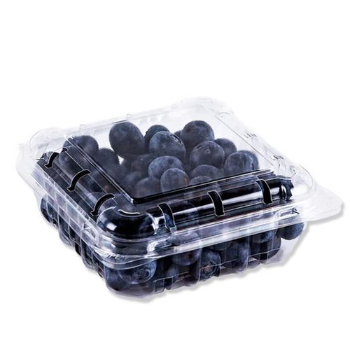 Bandeja de Arándanos 150g
