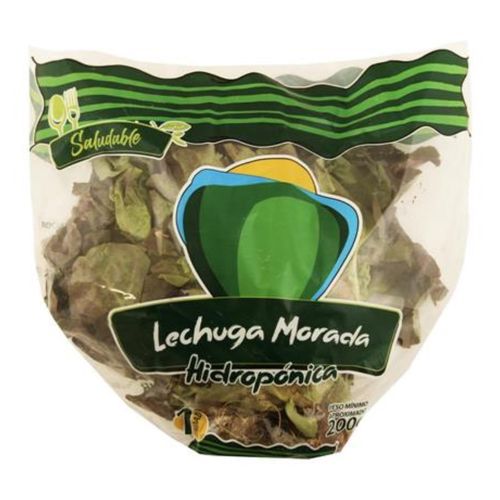 LECHUGA MORADA HIDROPONIC